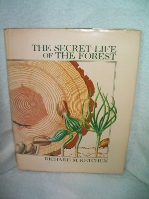 Box A12 033_250x400_environ2